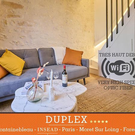 Duplex Standing 7Min➤Fontainebleau-Insead⎮45Min➤Paris Διαμέρισμα Veneux-les-Sablons Εξωτερικό φωτογραφία